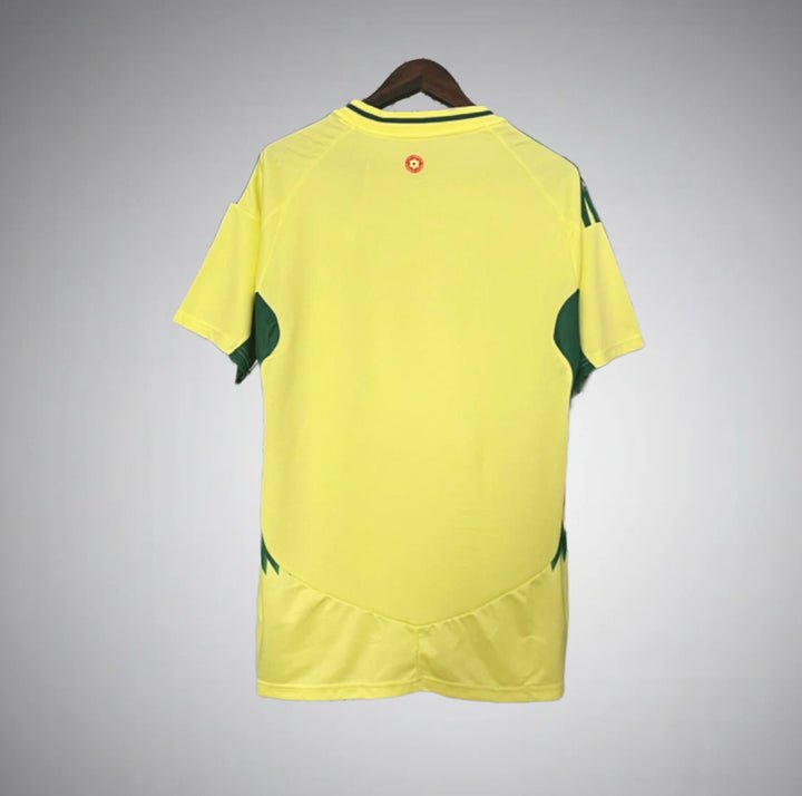 Image of Wales 2024 Away Kit - Premium Quality Jersey at FootballPrestige.com