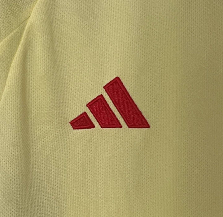 Image of Wales 2024 Away Kit - Premium Quality Jersey at FootballPrestige.com