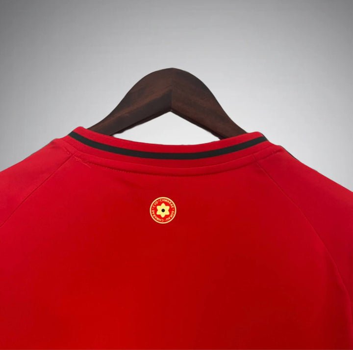 Image of Wales 2024 Home Kit - Premium Quality Jersey at FootballPrestige.com
