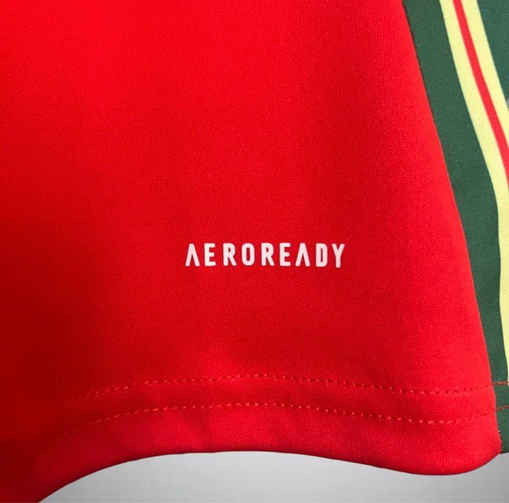 Image of Wales 2024 Home Kit - Premium Quality Jersey at FootballPrestige.com