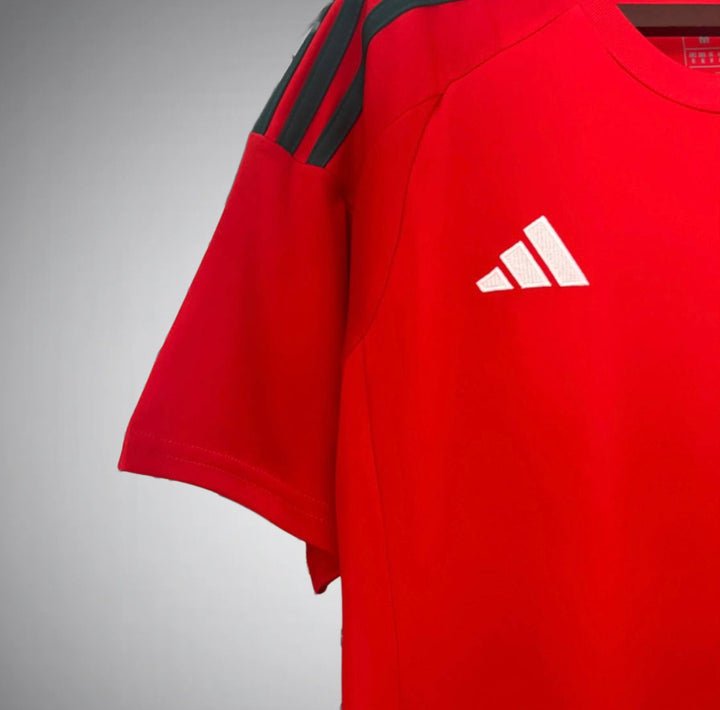 Image of Wales 2024 Home Kit - Premium Quality Jersey at FootballPrestige.com