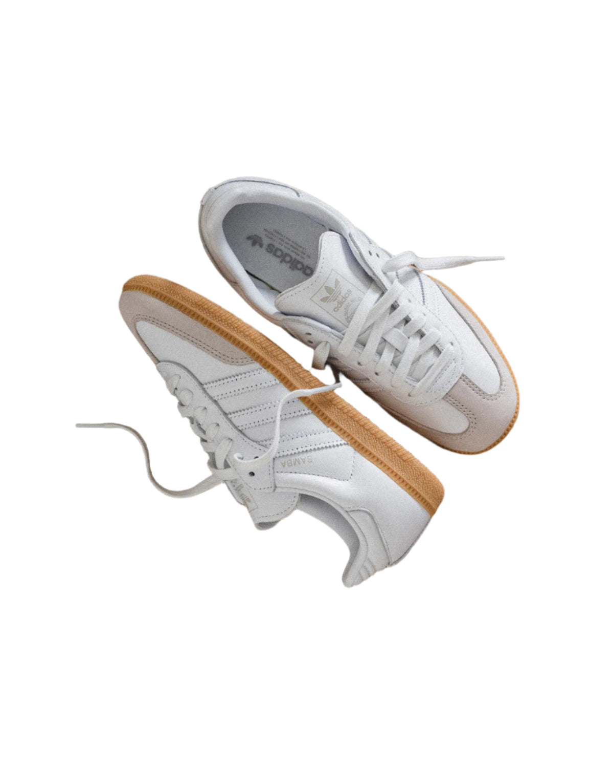 Image of Adidas Samba OG W onfeet